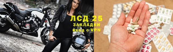 гашик Нефтекумск
