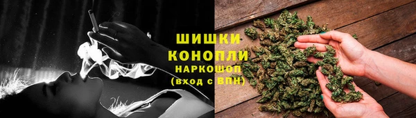 МДПВ Гатчина