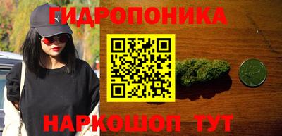 прущие крисы Нарткала