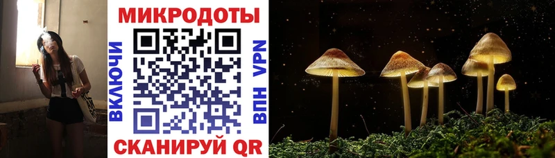 Галлюциногенные грибы Psilocybe  даркнет сайт  Саров 
