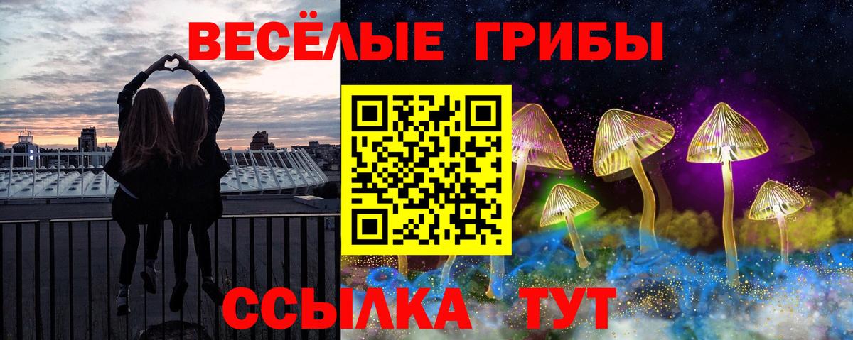 Псилоцибиновые грибы прущие грибы Саров