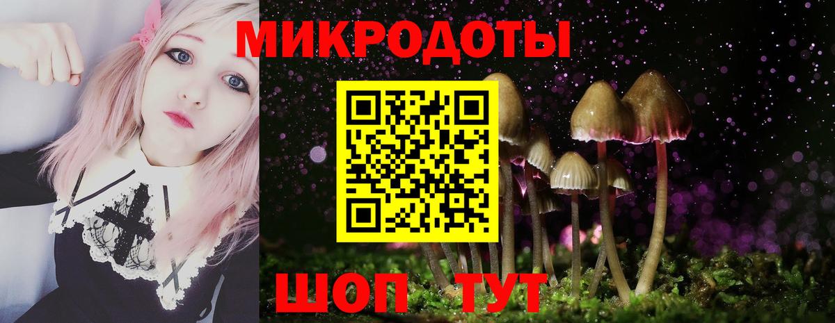 Псилоцибиновые грибы мухоморы  Галлюциногенные грибы ЛСД  Саров  Вход с VPN 