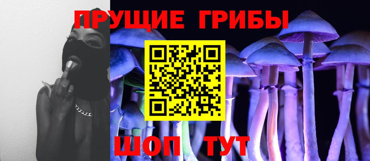 Псилоцибиновые грибы GOLDEN TEACHER  Вход с VPN  Саров  Галлюциногенные грибы прущие грибы 