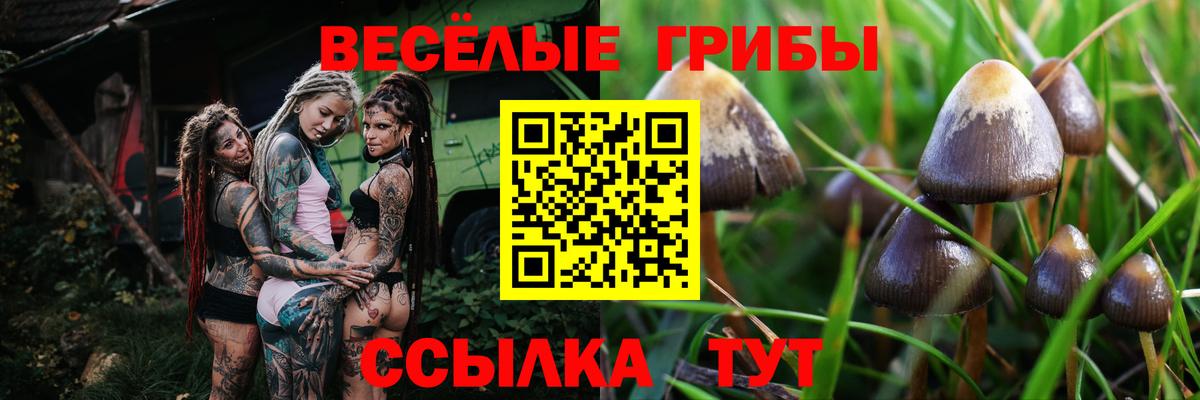 Псилоцибиновые грибы ЛСД Саров