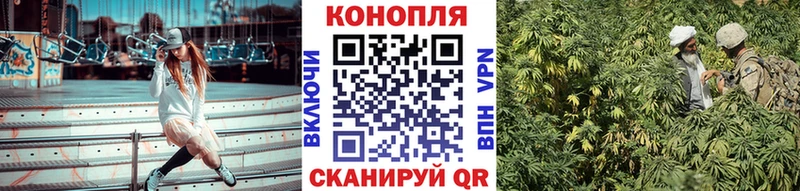 Конопля конопля  как найти наркотики  Саров 